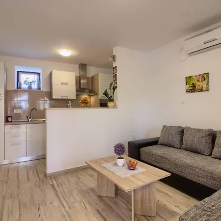 Wonderful Dvori With Private Pool For 12 Persons Near Pula *