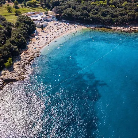 Wonderful Dvori With Private Pool For 12 Persons Near Pula